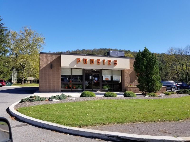A Corner of Williamsport That Became a Local Institution