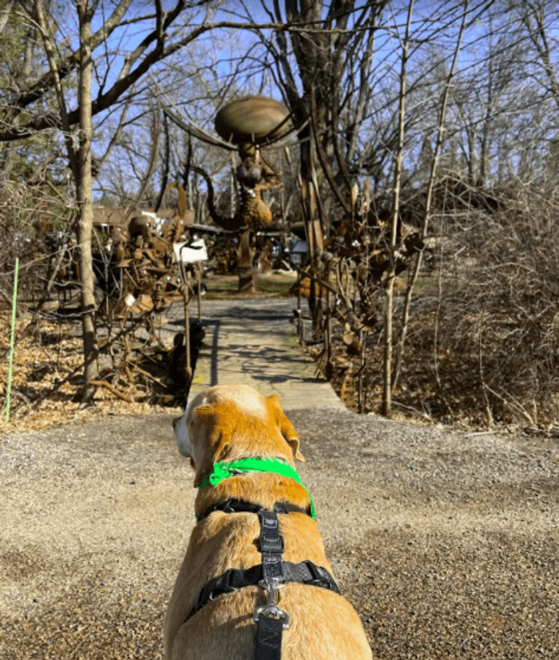 A Dog-Friendly Stop in the Wisconsin Countryside