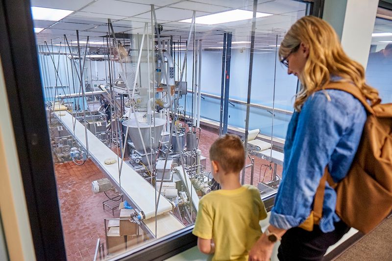 A Family-Friendly Experience That Actually Works for Every Age