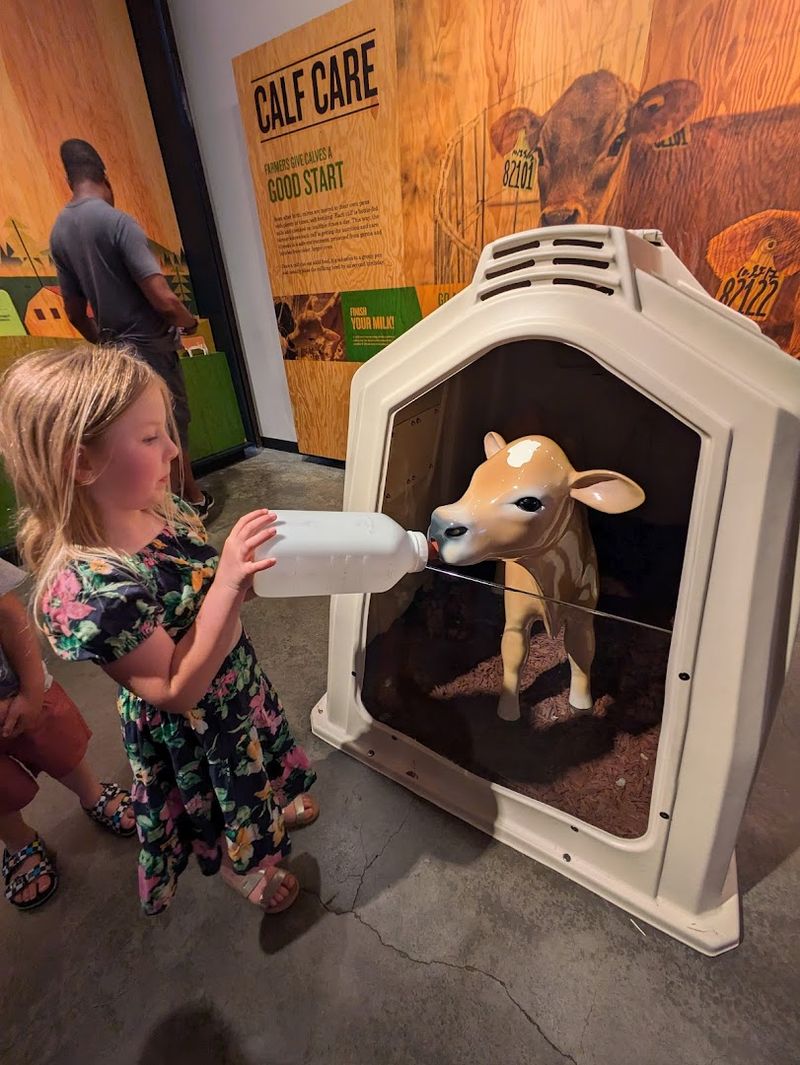 A Family-Friendly Stop That Works for All Ages