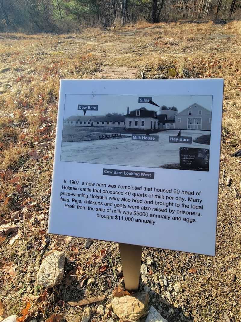 A Farm That Actually Turned A Profit A Farm That Actually Turned A Profit