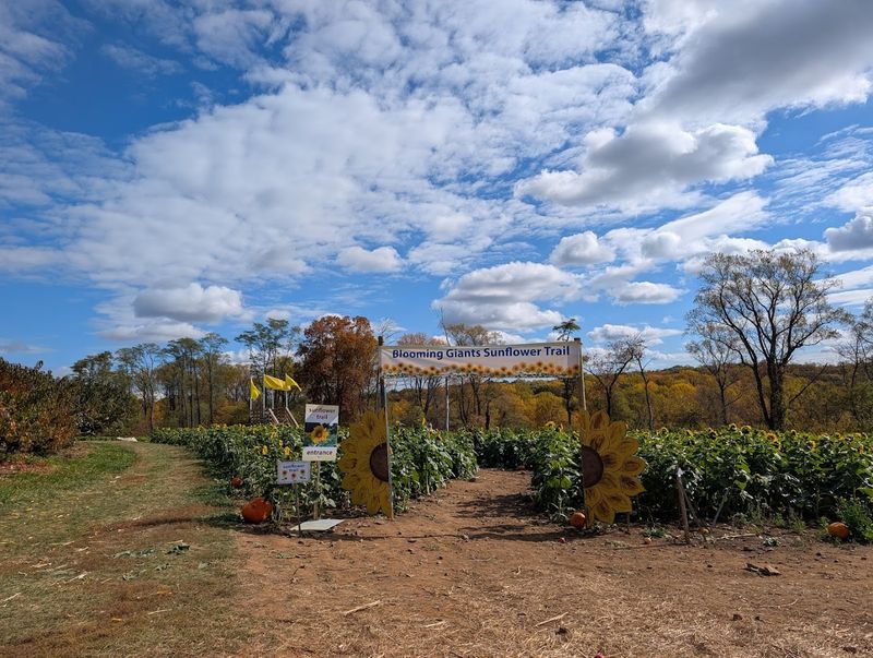 A Farm That Genuinely Changes With Every Season A Farm That Genuinely Changes With Every Season