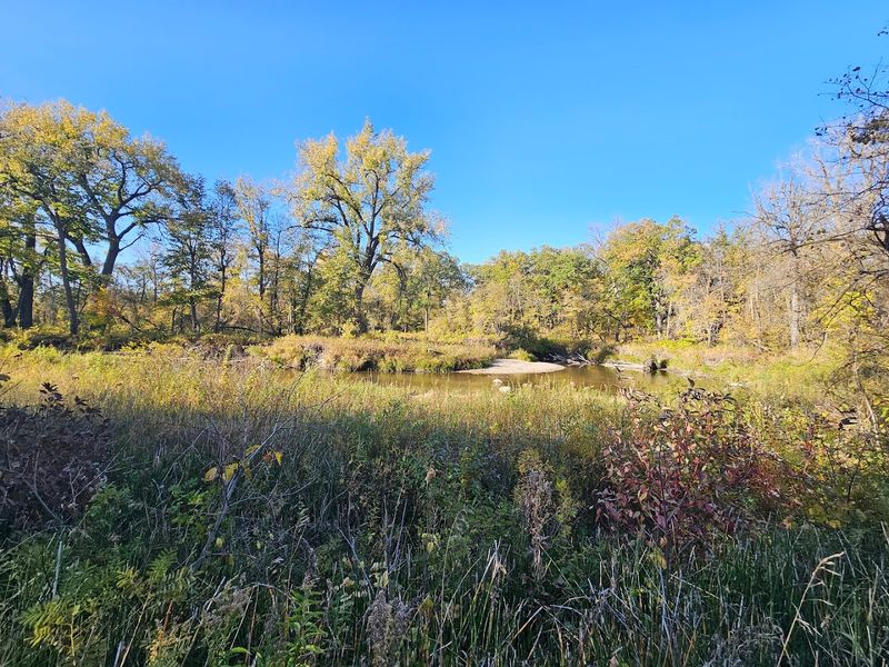 A Final Word on Why This Park Matters A Final Word on Why This Park Matters