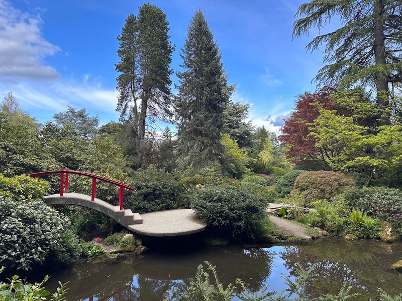 A Free Public Park in the Middle of a Major City