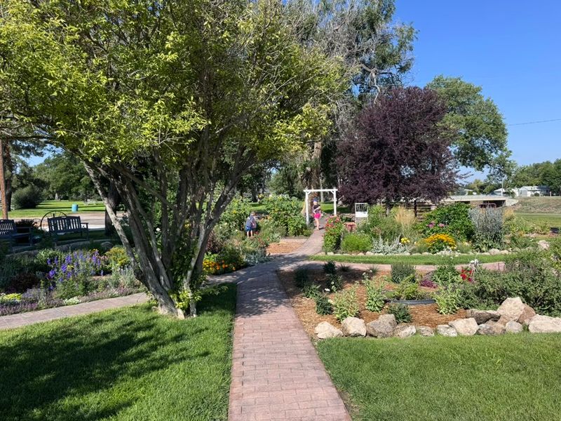 A Garden Born From an Old Swimming Pool A Garden Born From an Old Swimming Pool