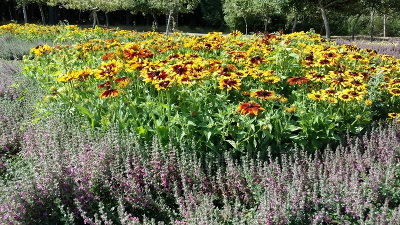 A Garden That Changes Every Season