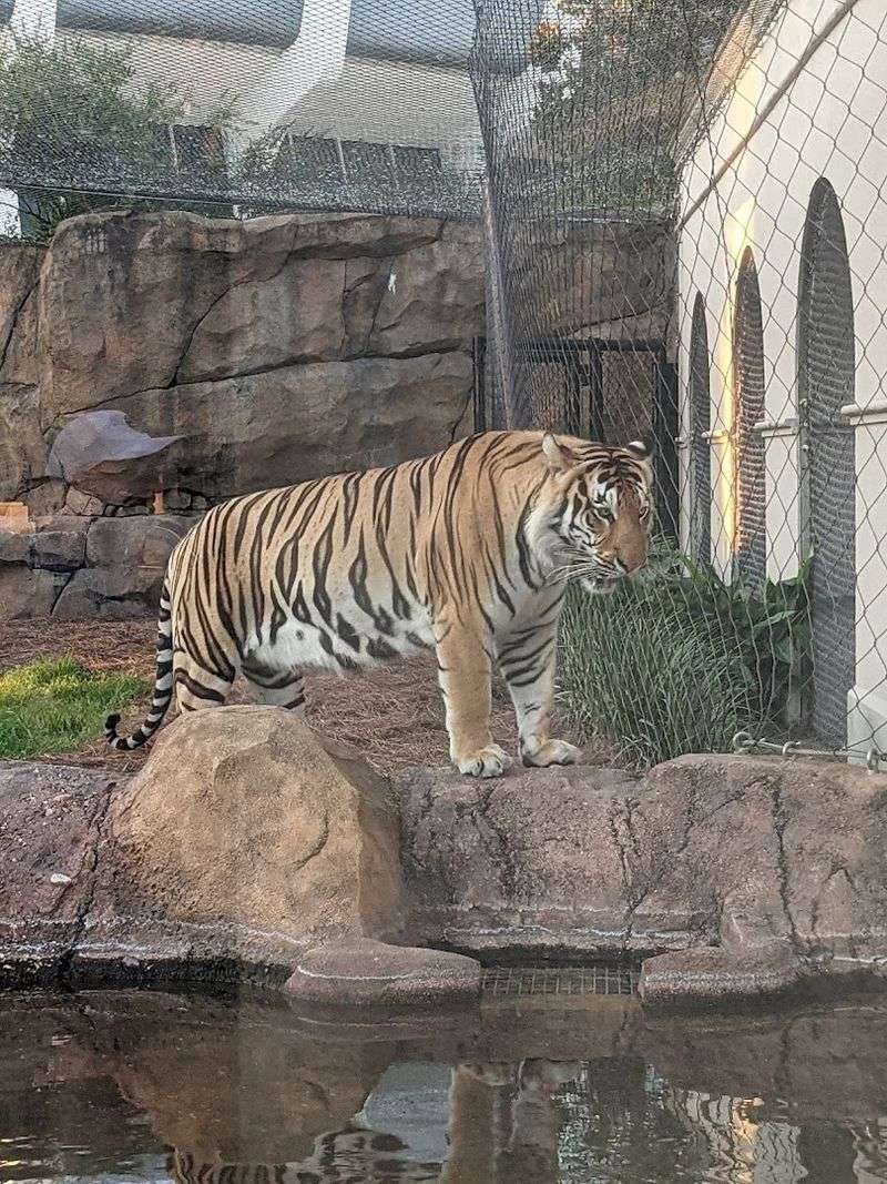 A Habitat Built Like No Other A Habitat Built Like No Other