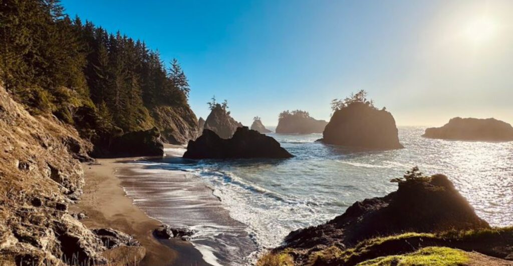 A Hidden Path Through the Forest Leads to One of Oregon’s Most Magical Black Sand Beaches