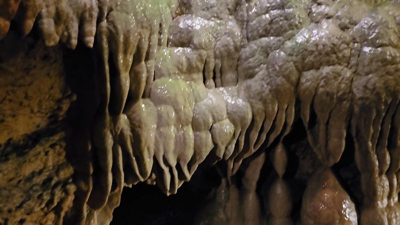 A History Written in Stone: How the Caverns Were Discovered A History Written in Stone: How the Caverns Were Discovered