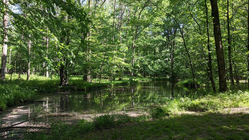 A Living Legacy Worth Returning To: Why This Place Stays With You