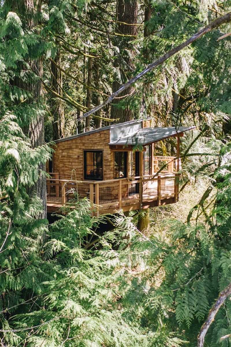 A Look at the Individual Treehouses A Look at the Individual Treehouses