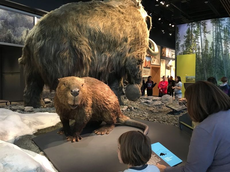 A Museum That Works for Every Age Group A Museum That Works for Every Age Group