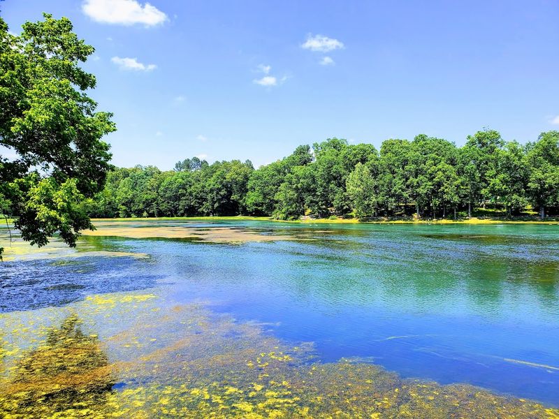 A National Natural Landmark With a Surprisingly Low-Key Vibe