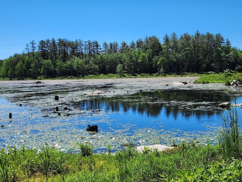 A Park So Big It Has Its Own Zip Code of Adventures A Park So Big It Has Its Own Zip Code of Adventures