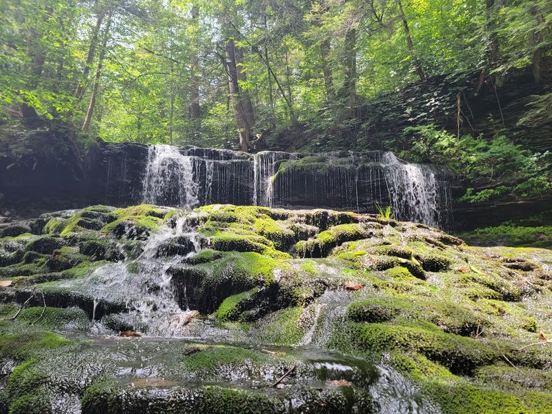 A Park That Earns Its Reputation
