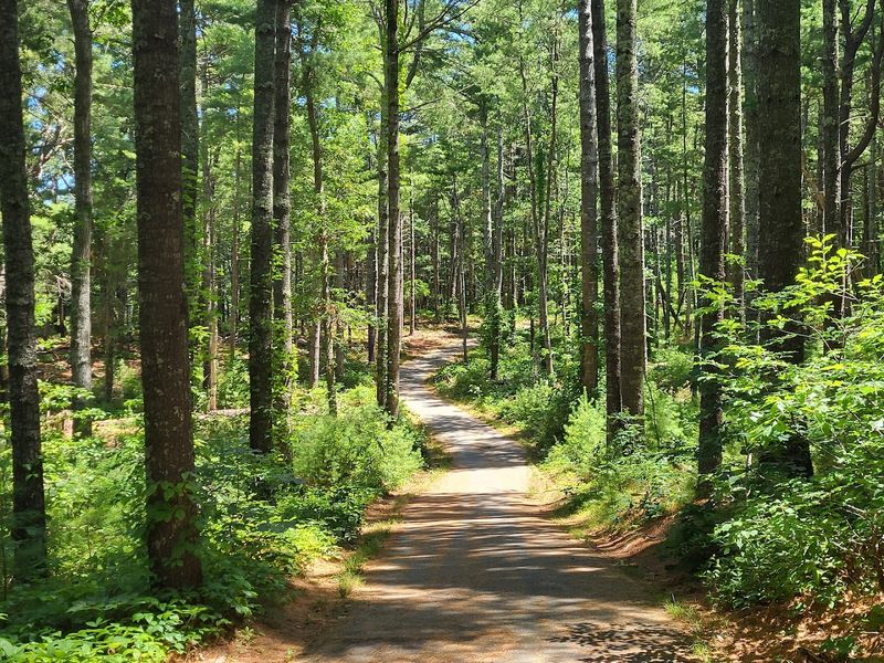 A Park With History: How Nickerson Became Massachusetts' First