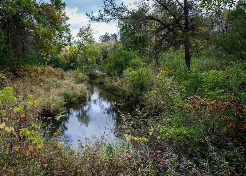 A Peaceful Retreat That Feels Miles Away From Town