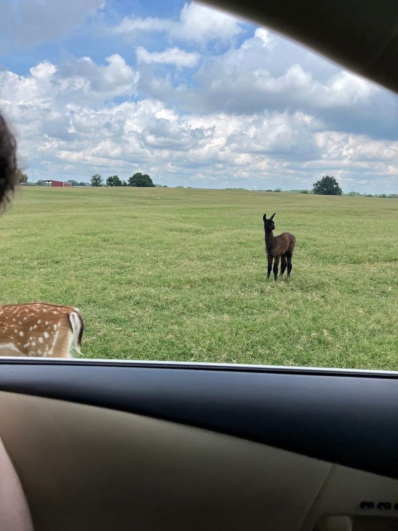 A Perfect Outing for Families, Groups, and Animal Lovers A Perfect Outing for Families, Groups, and Animal Lovers
