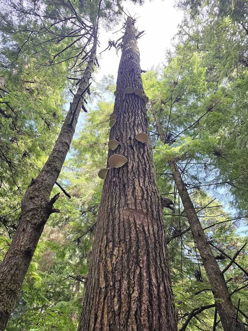 A Perfect Stop on Any Oregon Coast Road Trip