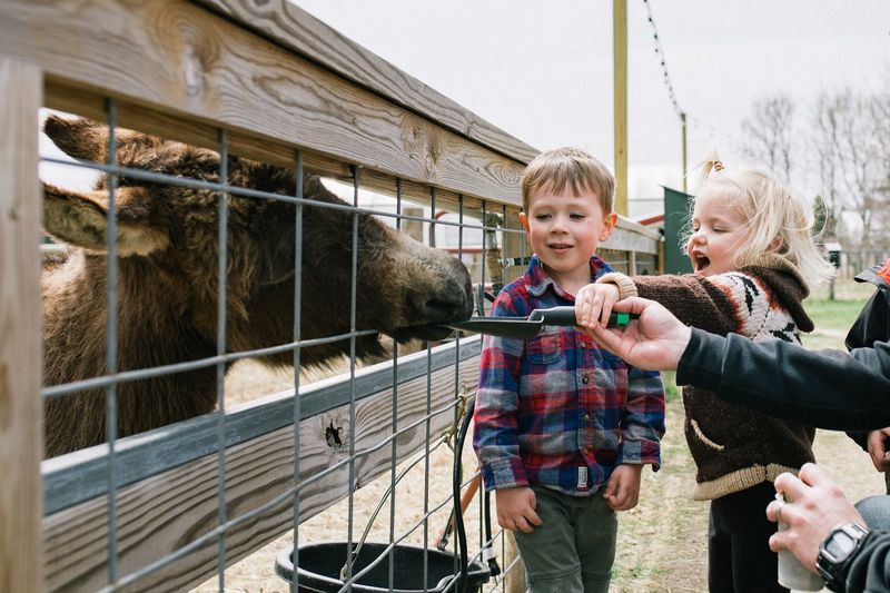 A Petting Zoo That Kids Actually Love