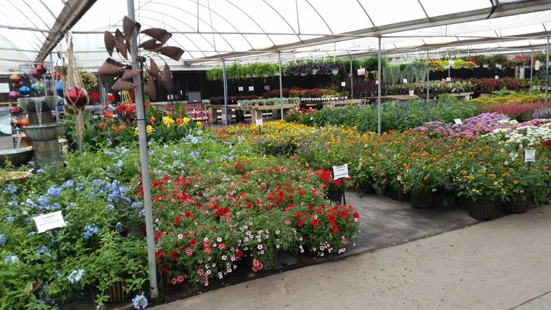 A Plant Selection That Covers Every Corner of Your Yard