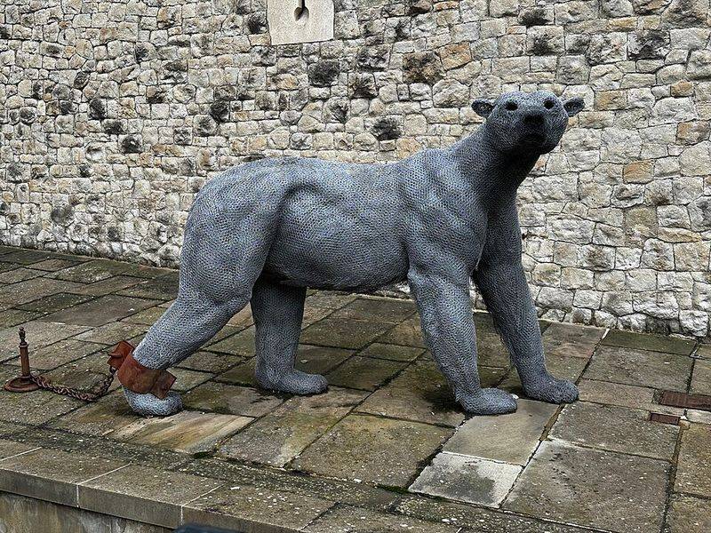 A Polar Bear's Leash