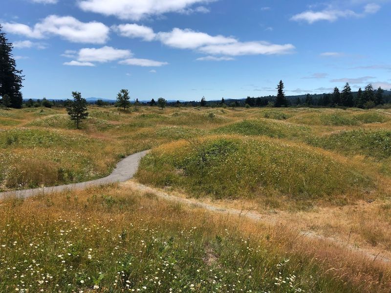 A Prairie Ecosystem That Stands Apart