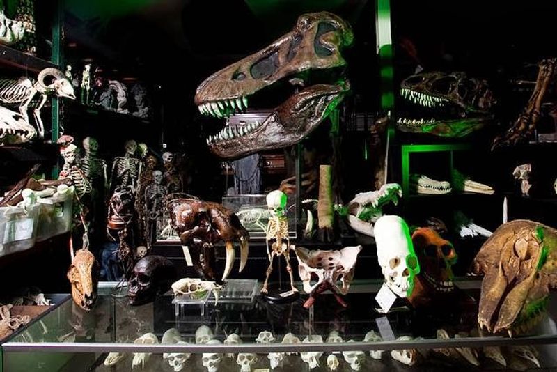 A Prop Shop Unlike Anything in the Midwest