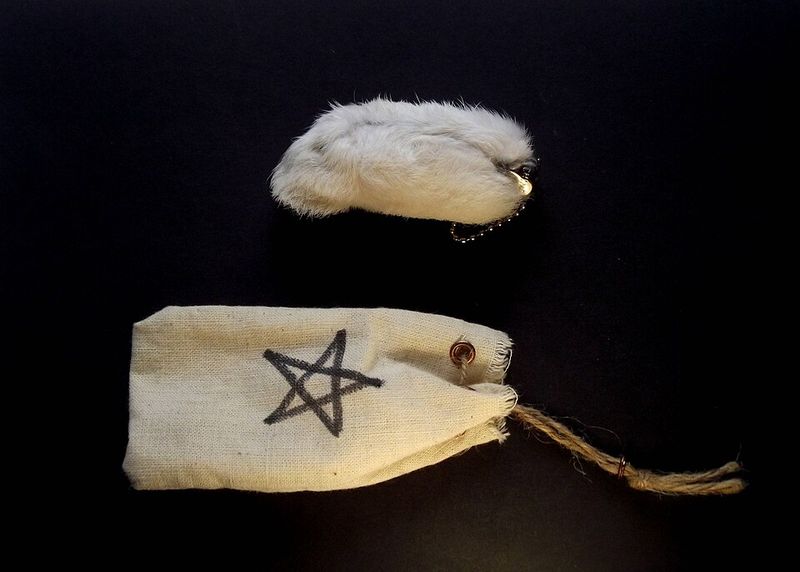 A Rabbit's Foot Brings Luck
