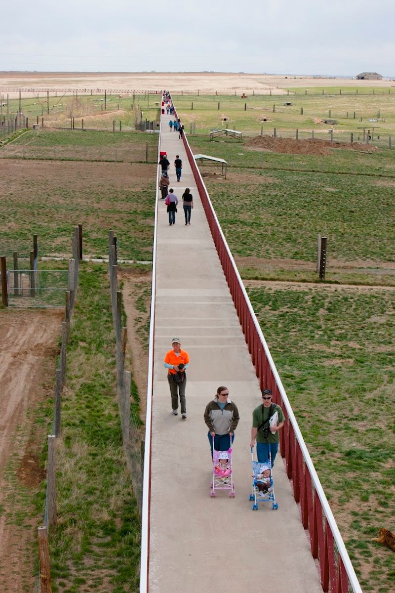 A Rescue Mission Unlike Any Other A Rescue Mission Unlike Any Other