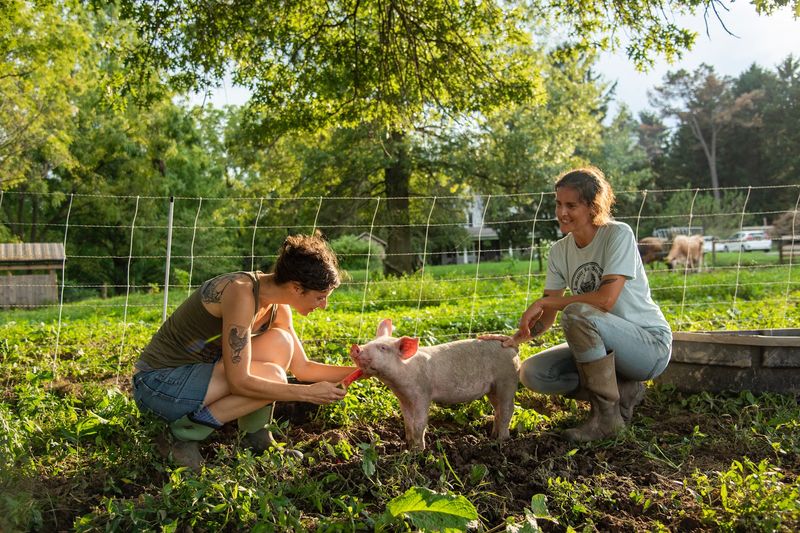 A Sanctuary Rooted in Purpose and Heart
