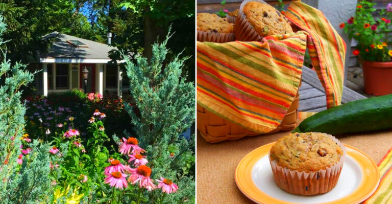 A Secret Saugatuck Stay With Private Cottages, Garden Views, and Daily Muffin Delivery