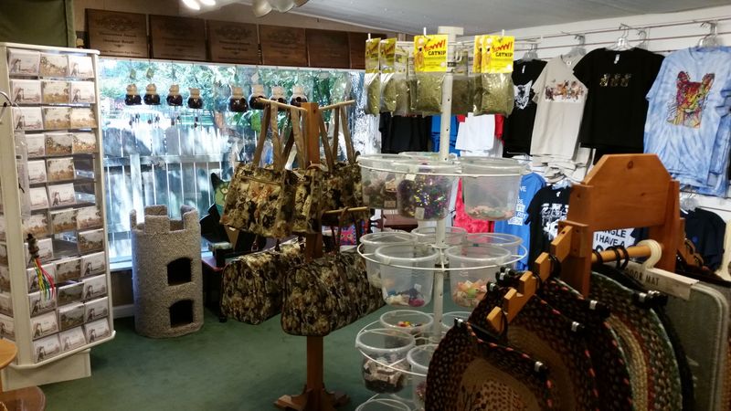 A Shop Packed With Feline Finds A Shop Packed With Feline Finds