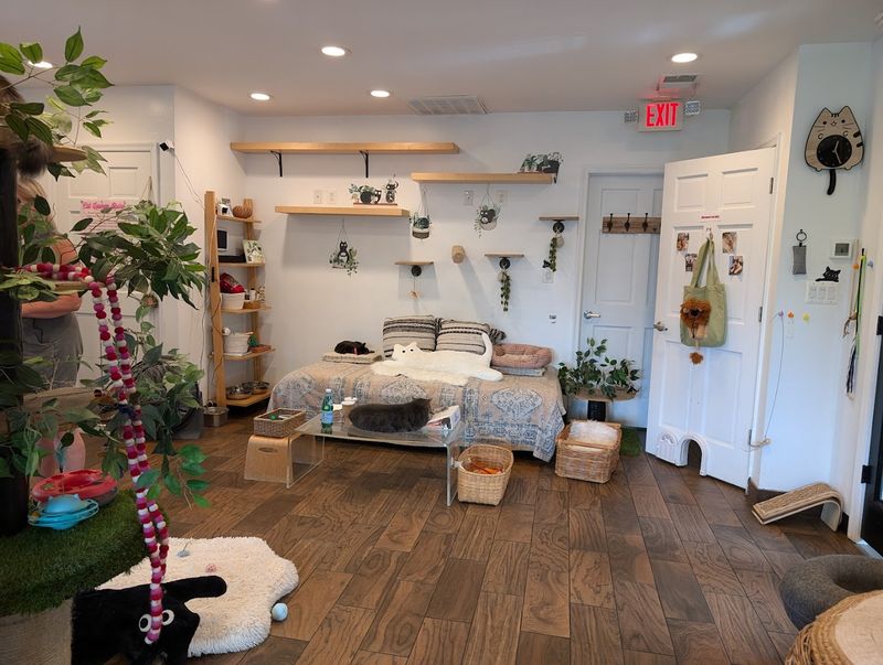 A Space That Welcomes Everyone, No Exceptions A Space That Welcomes Everyone, No Exceptions