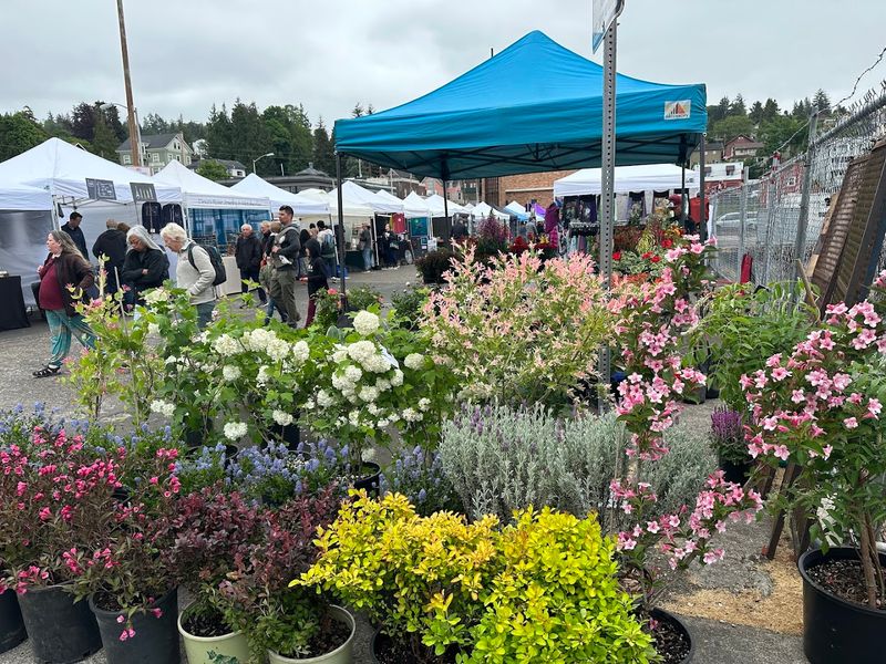 A Sunday-Only Tradition That Sets This Market Apart