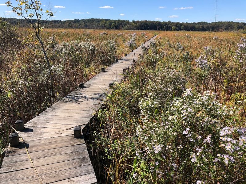 A Trail Network Built For Every Kind Of Explorer