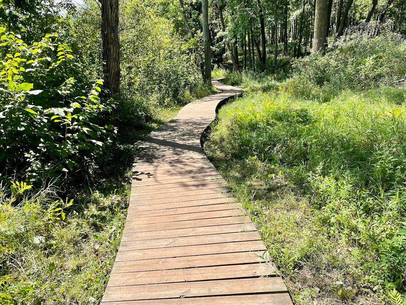 A Trail Network That Keeps Surprising You