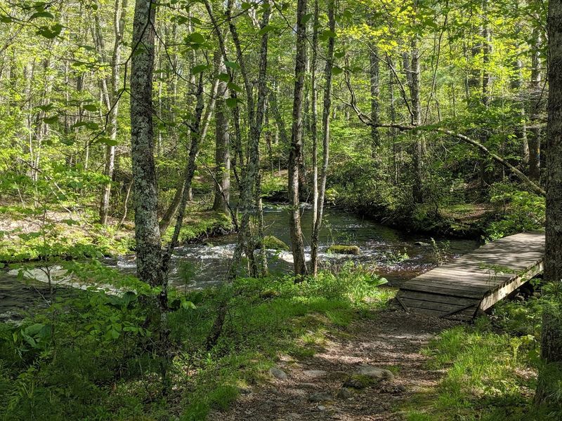 A Trail Network That Rewards Curiosity A Trail Network That Rewards Curiosity