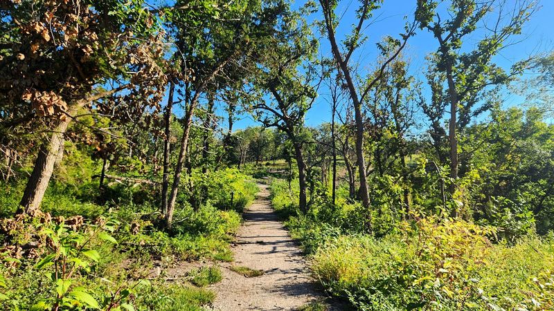 A Trail System That Earns Its Scenery