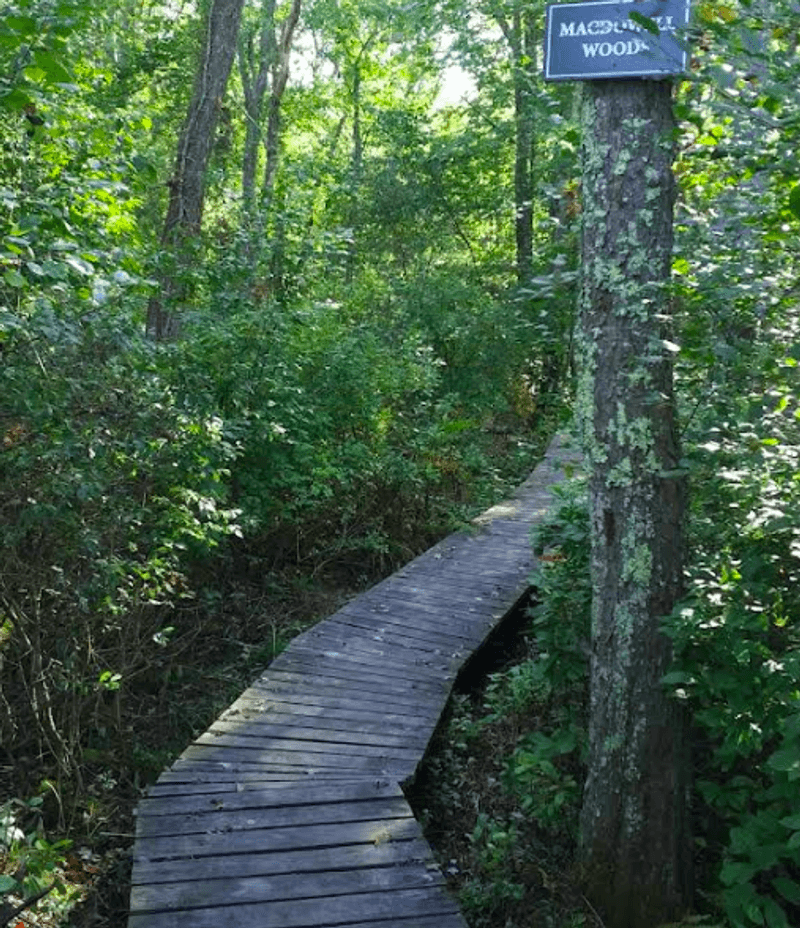 A Trail Worth Adding to the Visit A Trail Worth Adding to the Visit