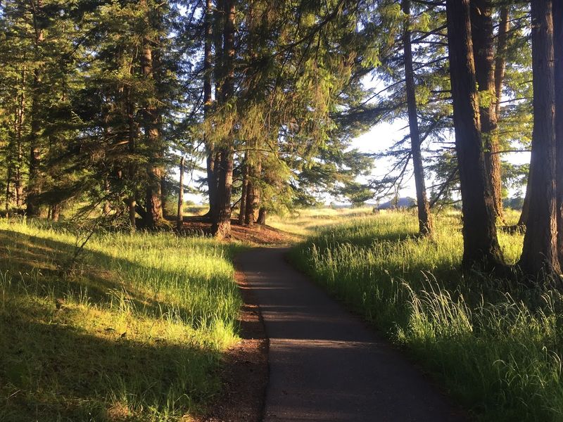 Accessibility At The Preserve