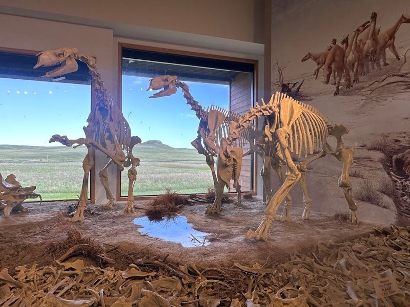 Agate Fossil Beds National Monument, Harrison, Nebraska
