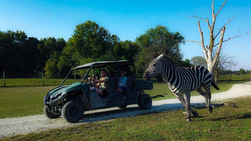 Aikman Wildlife Adventure — Arcola, Illinois