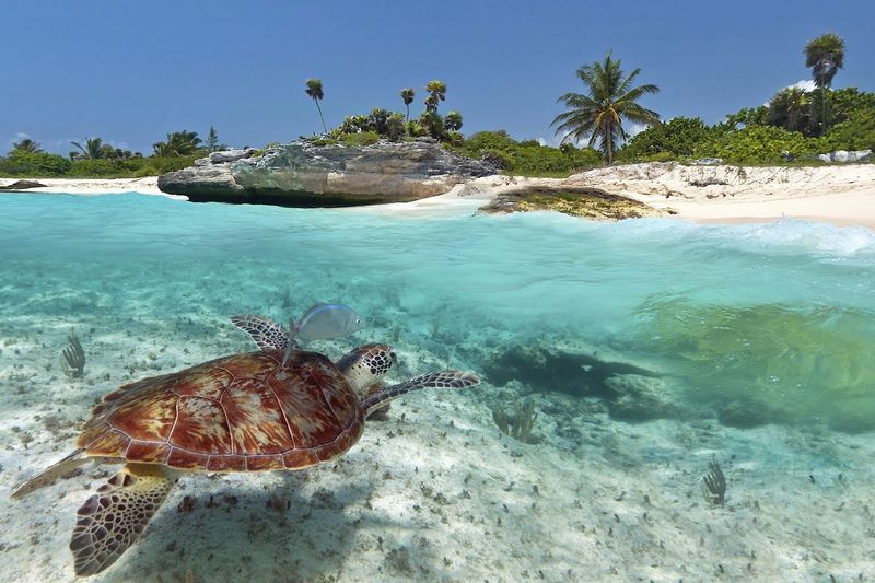 Akumal, Quintana Roo, Mexico