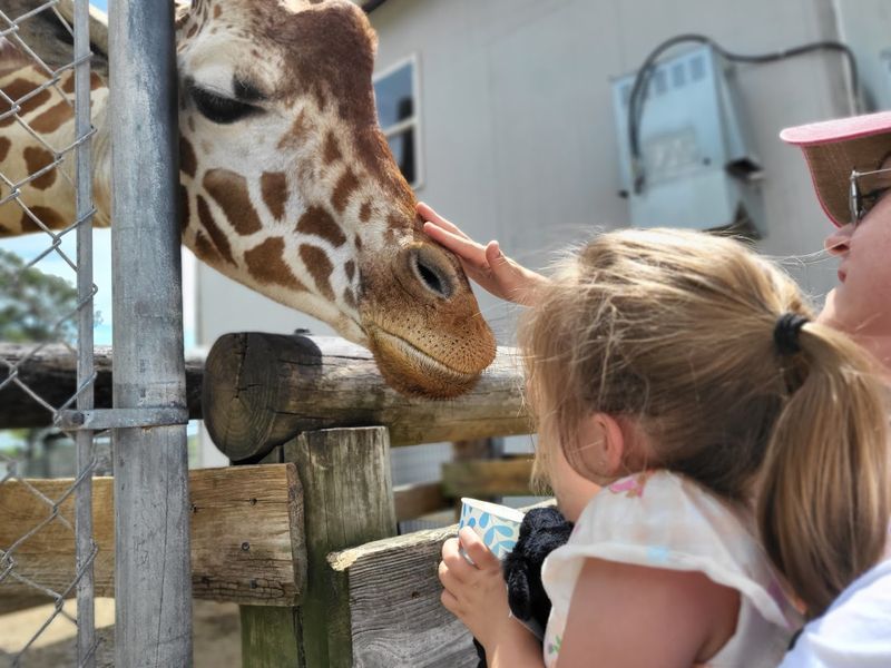 Aloha Safari Park — Cameron, North Carolina