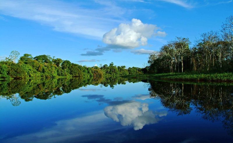 Amazon River (South America)