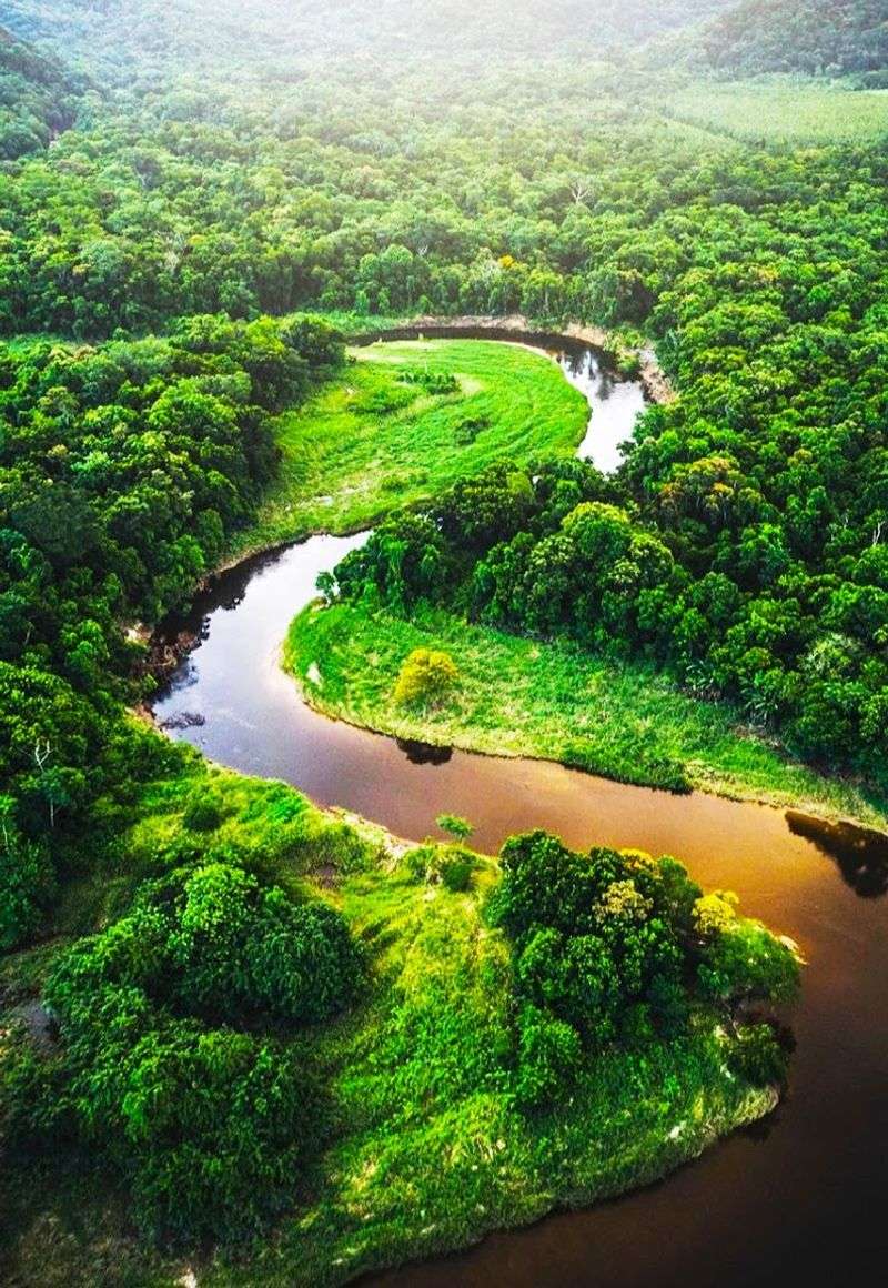 Amazon River Amazon River