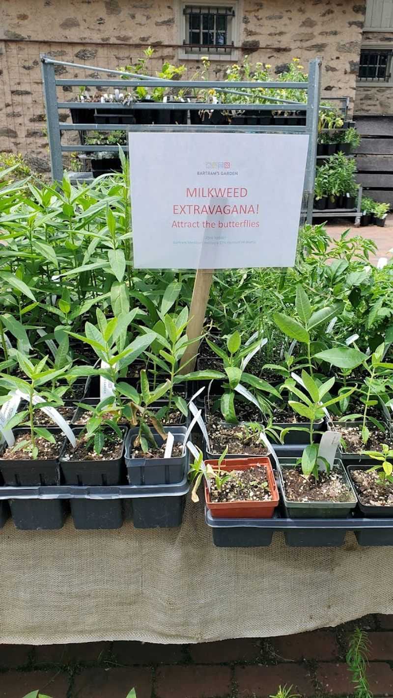 America's First Plant Catalog and a Nursery Ahead of Its Time