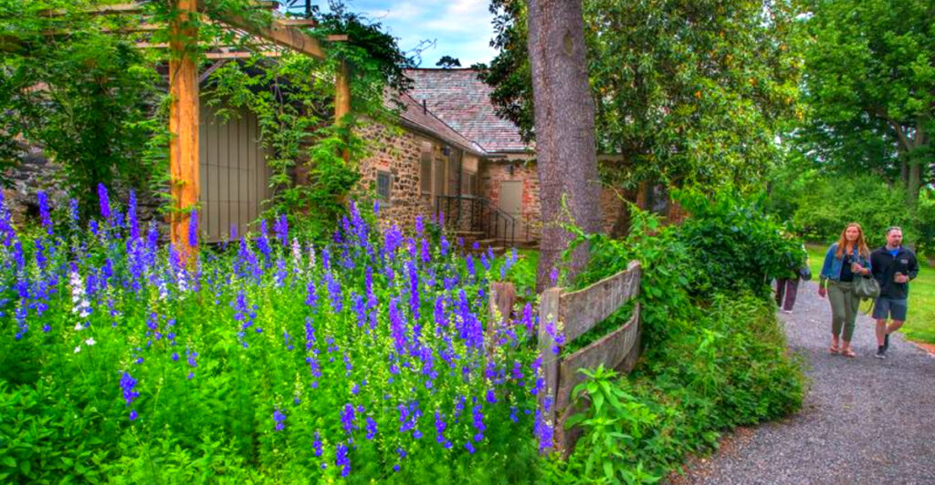 America’s Oldest Botanical Garden Is Hidden in Philadelphia – and It’s Completely Free to Visit