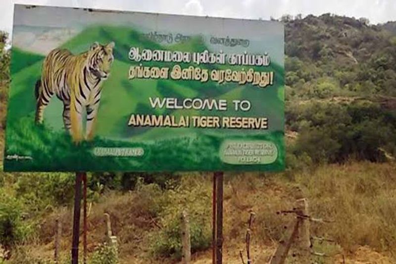 Anamalai Tiger Reserve, Tamil Nadu, India Anamalai Tiger Reserve, Tamil Nadu, India